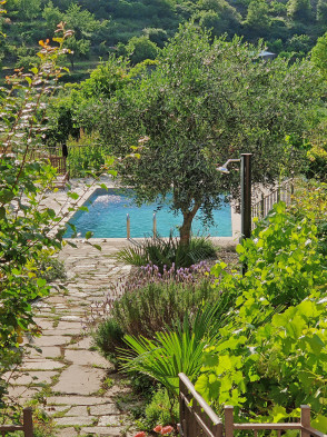 Garten mit Pool